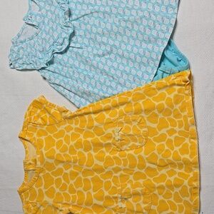 Aqua Onesie Dress And Yellow Giraffe Print Dress Set